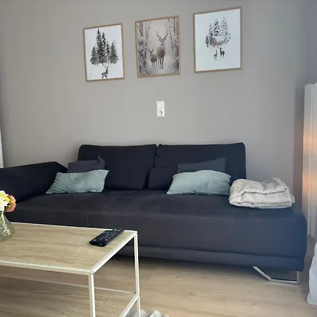 Tor Zum Schwarzwald Und In Schweiz 公寓