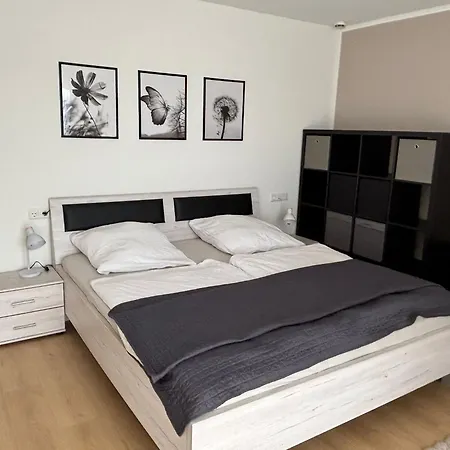 Tor Zum Schwarzwald Und In Schweiz 公寓 *